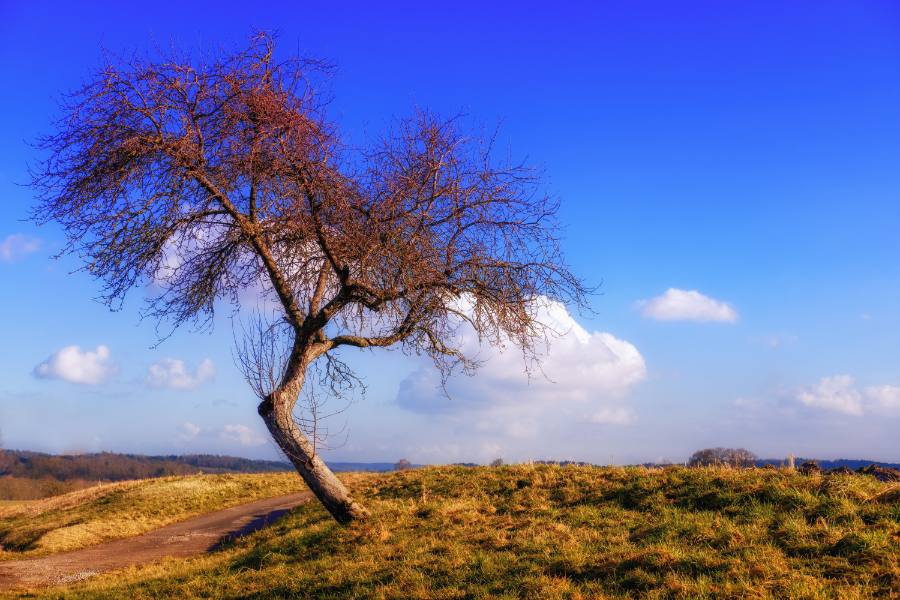 When the Role No Longer Fits